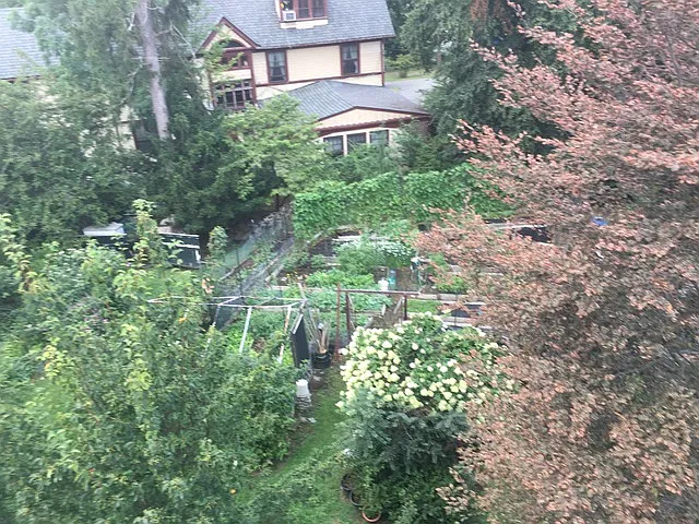 Cochrane Ave — Photo 10