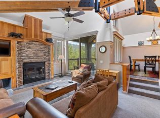372 Wild Irishman Rd #1903, Montezuma, CO 80435