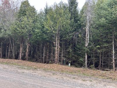 Pine Tree Trl Lot 929, Oscoda, MI, 48750
