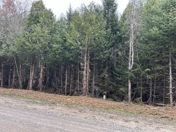Pine Tree Trl Lot 929, Oscoda, MI 48750