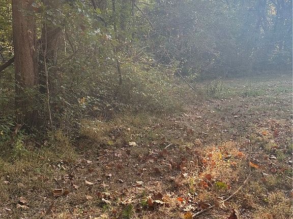 4th image of 15208 N Highway 59