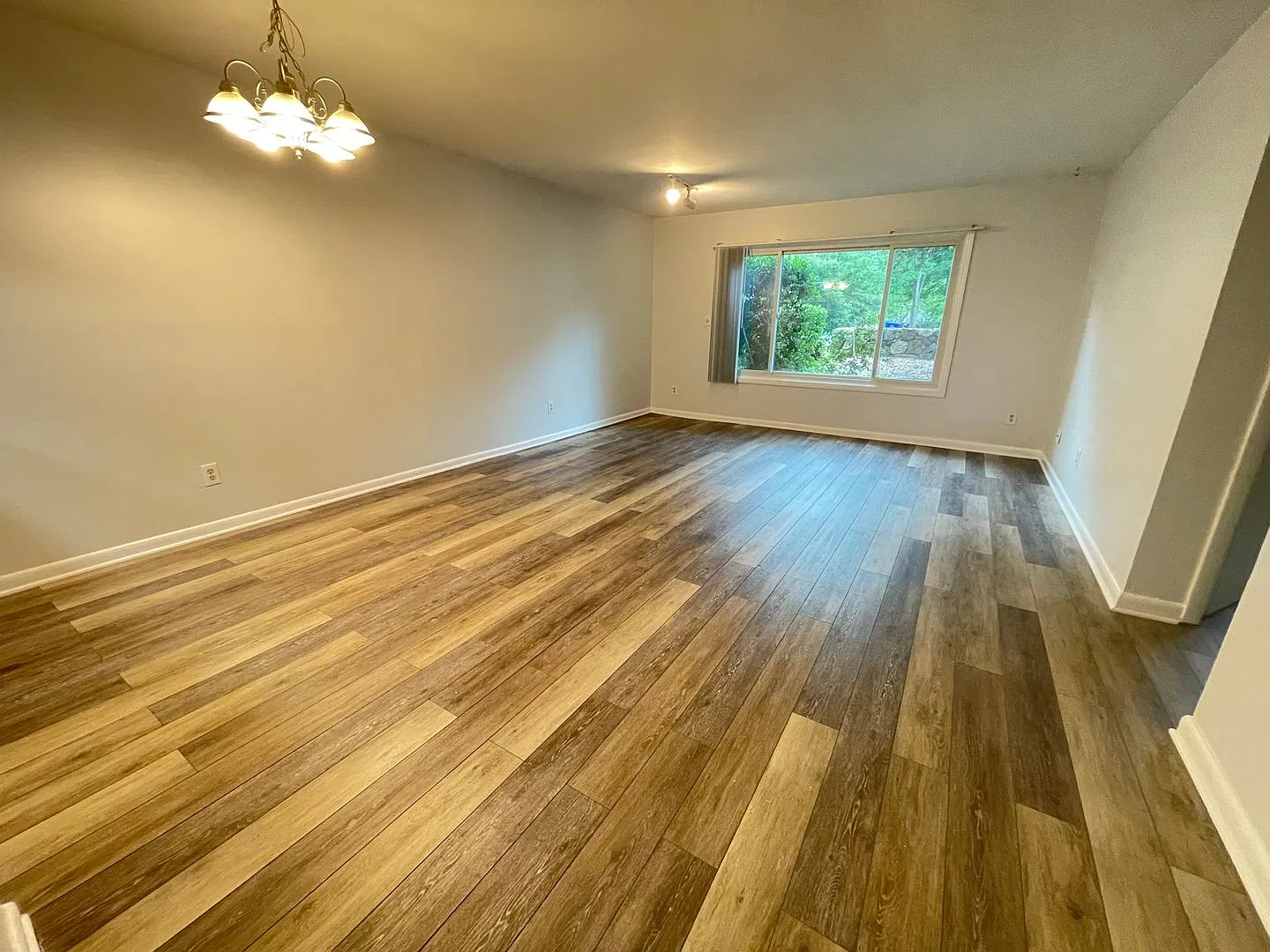 Walk to Campus from Chancellor Square! Updated end-unit in sweet Chapel Hill location. — Photo 4