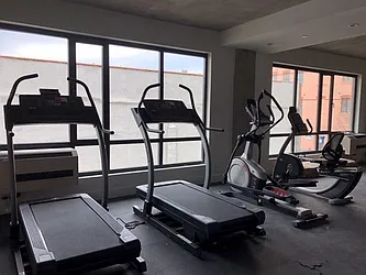 Rented by ALG NY Management, LLC.