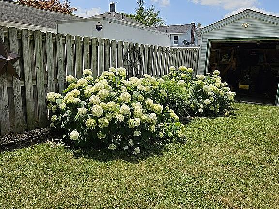 Side yard 