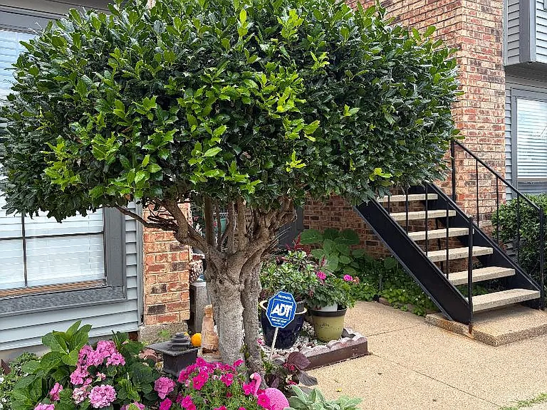 Exterior stairs leading to Condominium