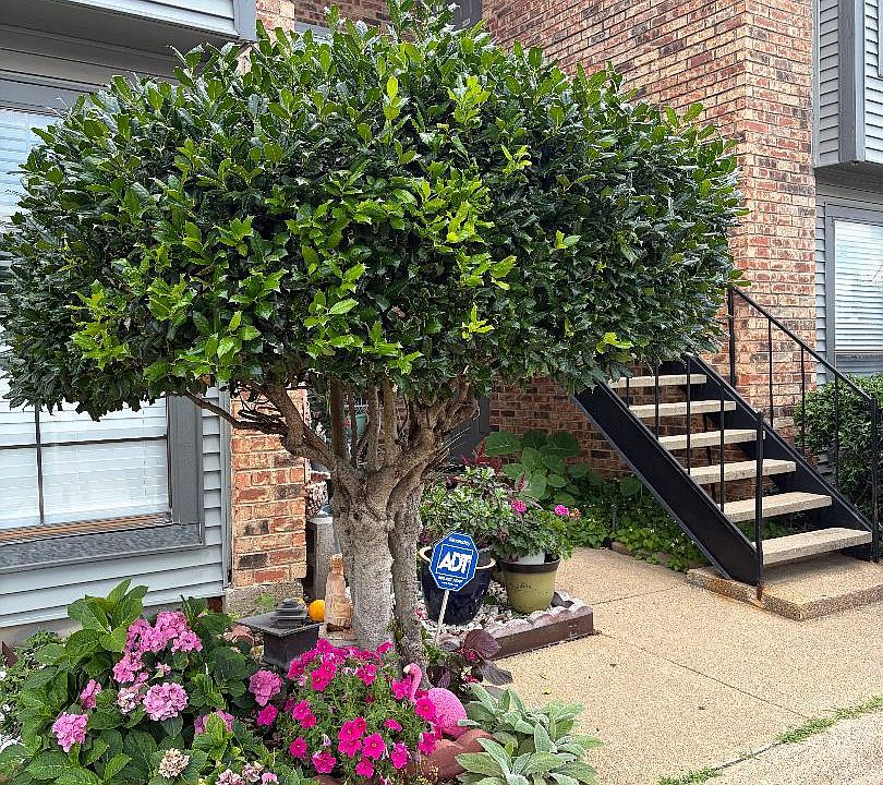 Exterior stairs leading to Condominium