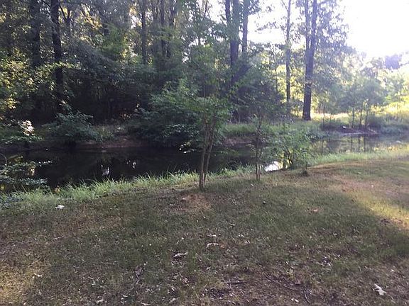 Creek at back yard