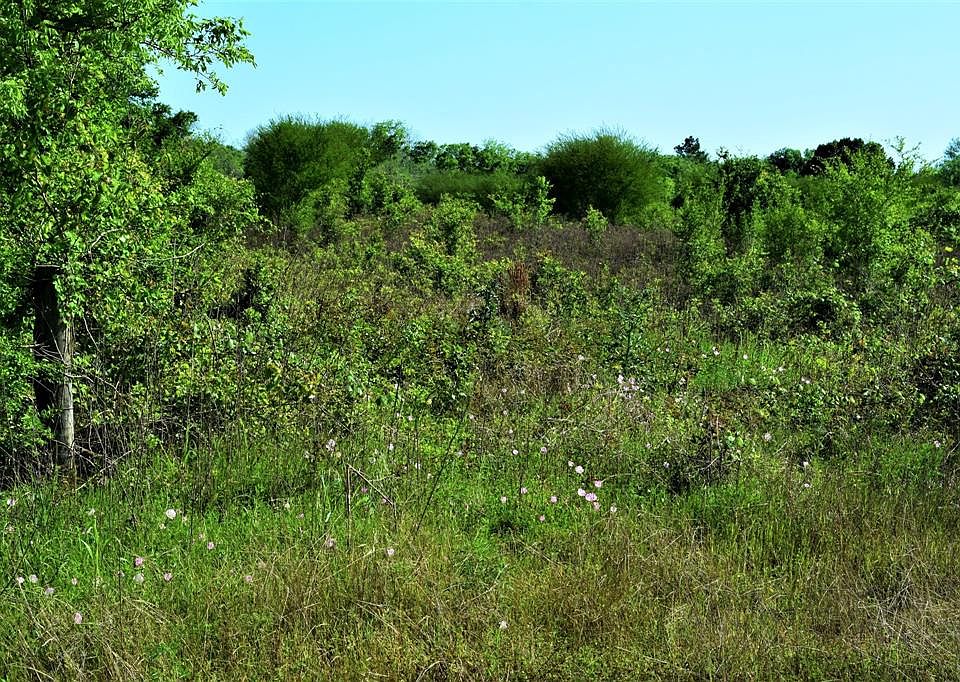 1st image of 38335 Katy Fwy