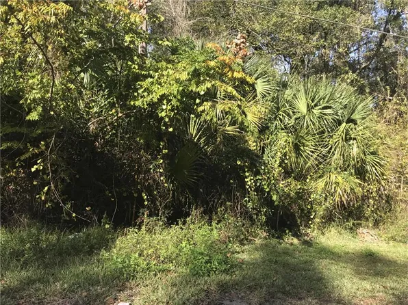 LOT NW 14th Way Lot 14, Lake Panasoffkee, FL 33538