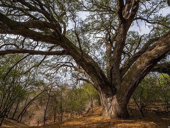 2nd image of 994 Marburger