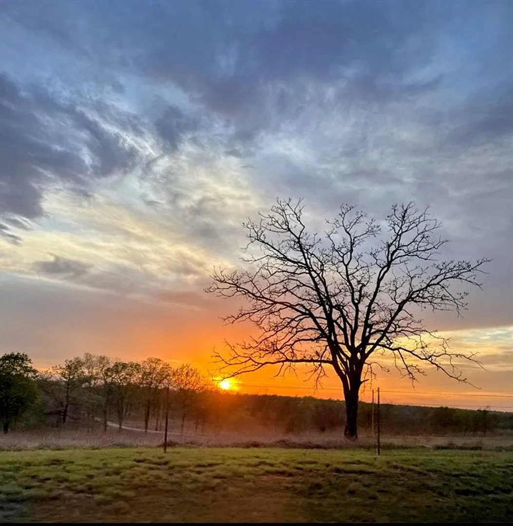 Live on a Beautiful 40 Acres! — Photo 2