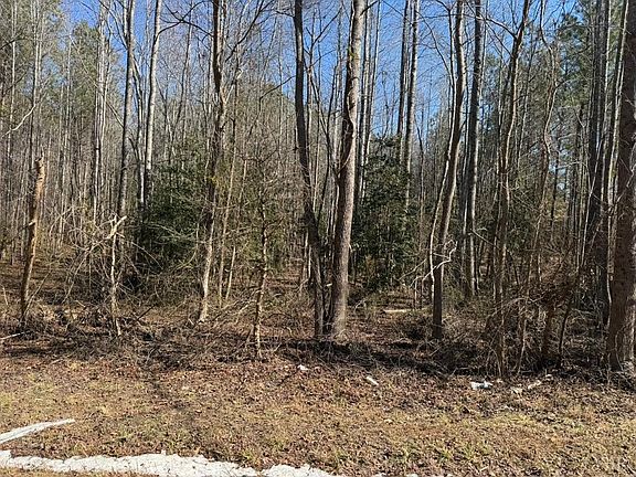 3rd image of 0 Sturgeon Rd Lot 6