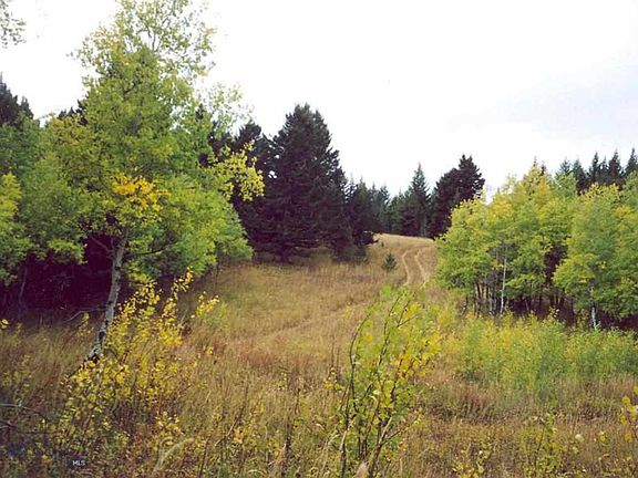 5th image of Livingston Peak