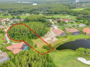 19002 Cour Estates Blvd, Lutz, FL 33558