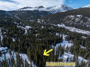 1034 Range Rd, Breckenridge, CO 80424