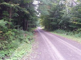 115 Schultz Rd, Deposit, NY 13754