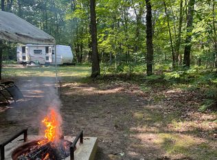 Harris Rd, Wellston, MI 49689