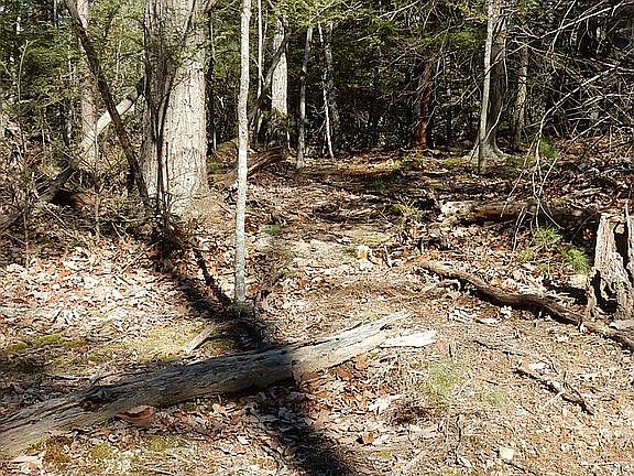 To home site from driveway