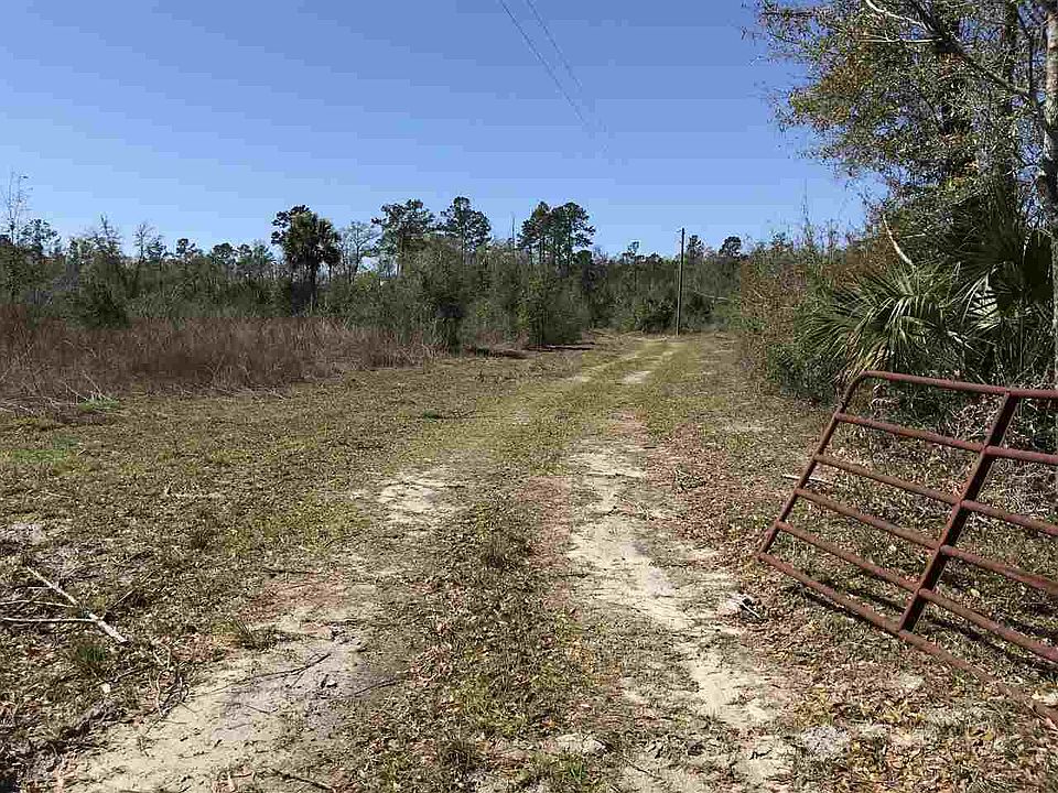 2nd image of 50 Tall Pine Ln