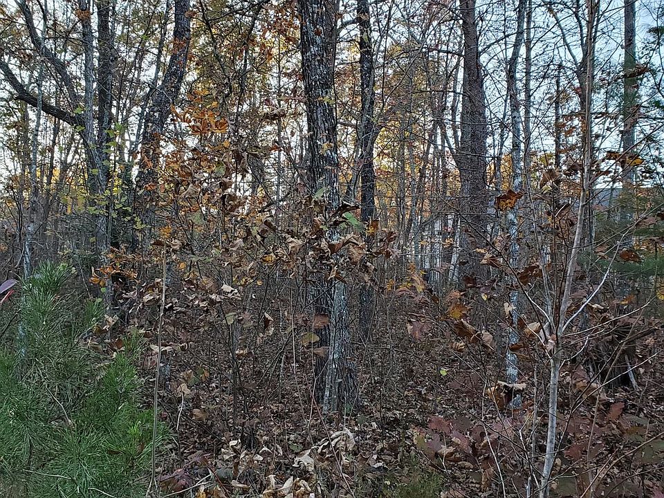 2nd image of 149 Adler Ln