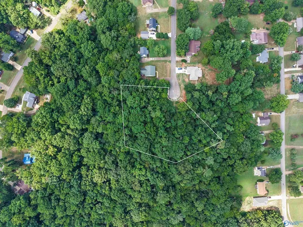 24390 Cedar Ln, Elkmont, AL 35620