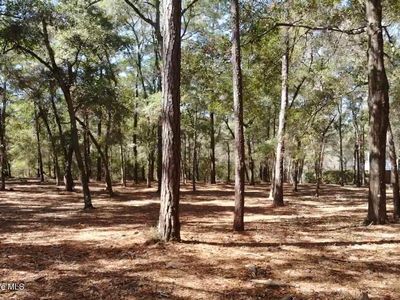 721 Lagare Lane SW, Supply, NC, 28462