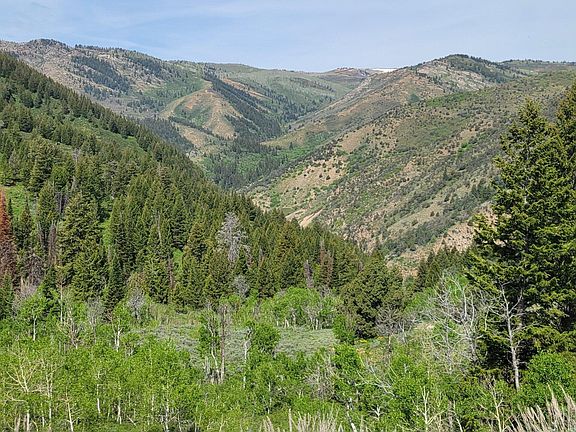 2nd image of 40 Sunridge Ranches