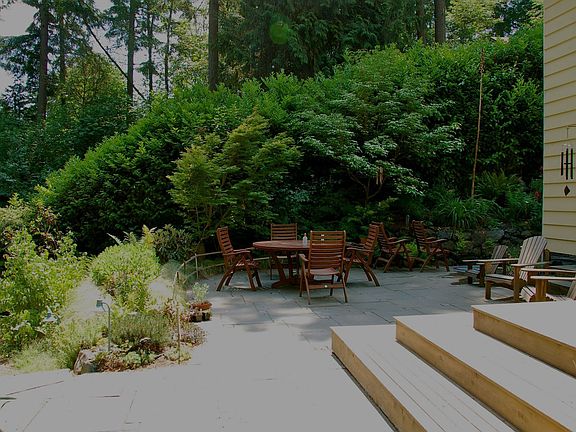 Patio, back yard