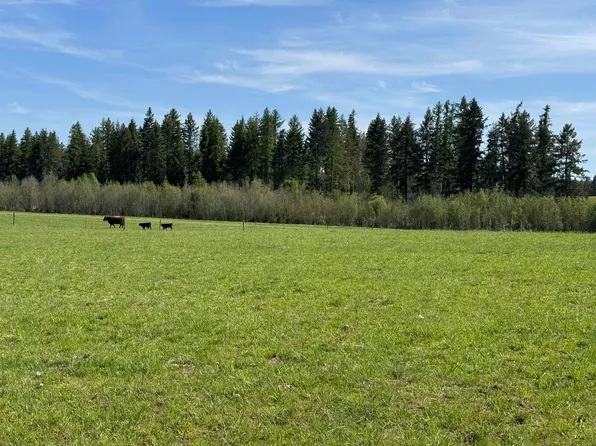 29210 N Spotted Rd Parcel D, Deer Park, WA 99006