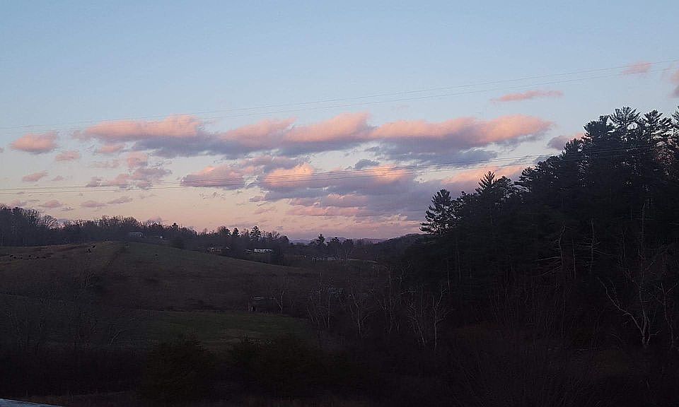 view from back deck