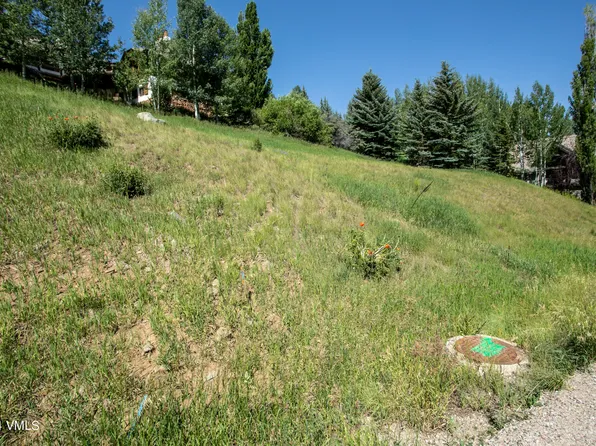 65 Wayne Creek Rd, Beaver Creek, CO 81620