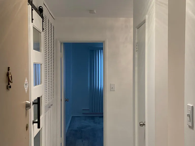 2772 E 75th St #5BN — Photo 8