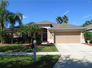 8218 Swann Hollow Dr, Tampa, FL 33647