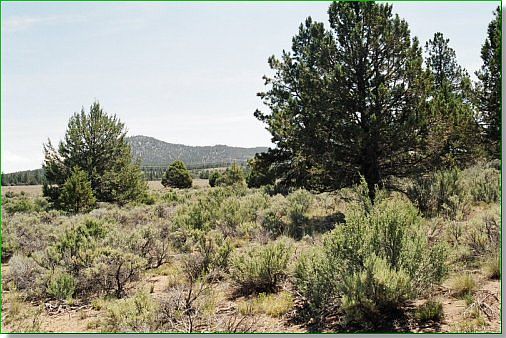 2nd image of 27918 Medicine Mountain Dr