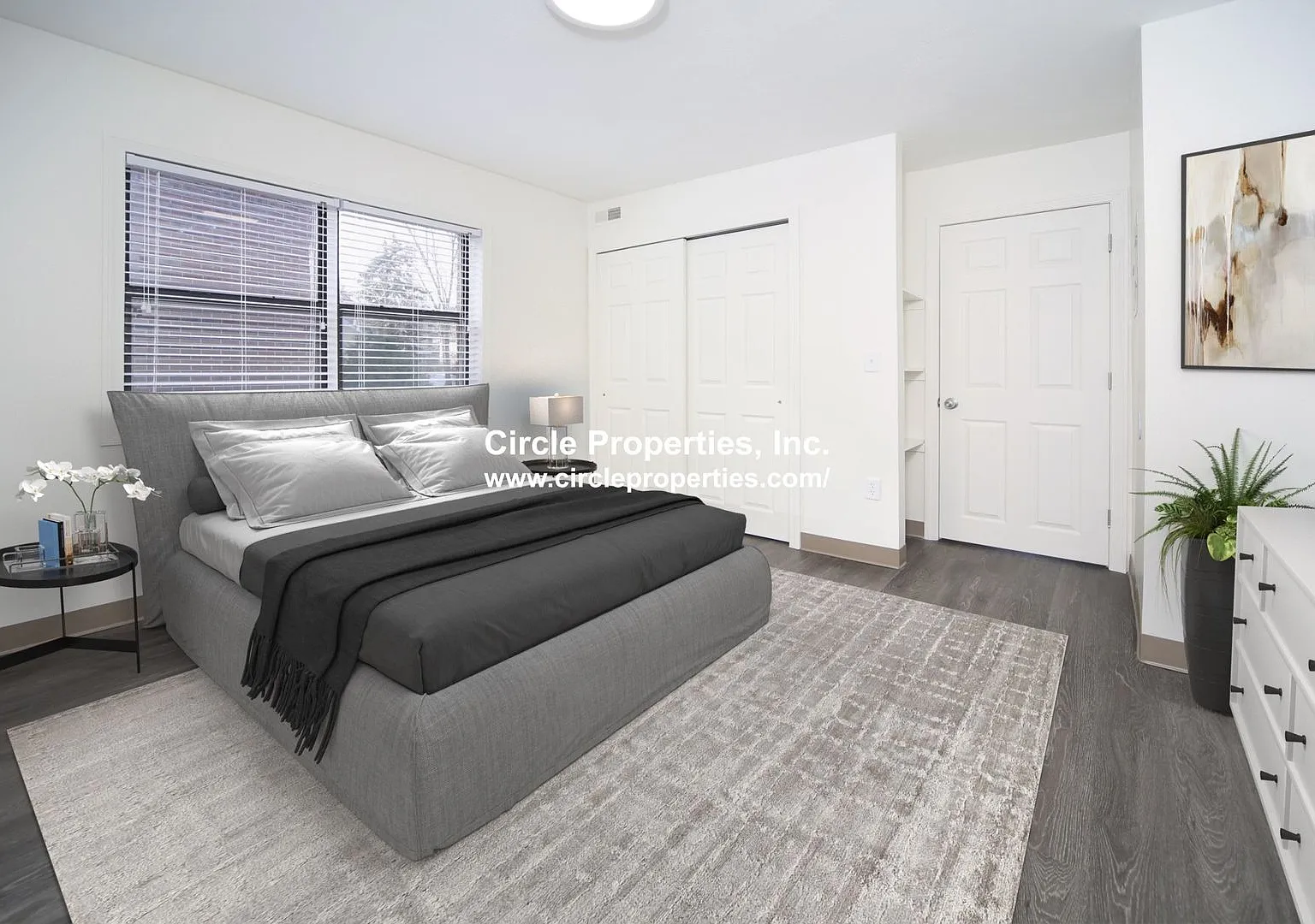 Renovated Gem near NEU with Laundry in Unit. Hot Water and Internet included. Cat Friendly — Photo 3