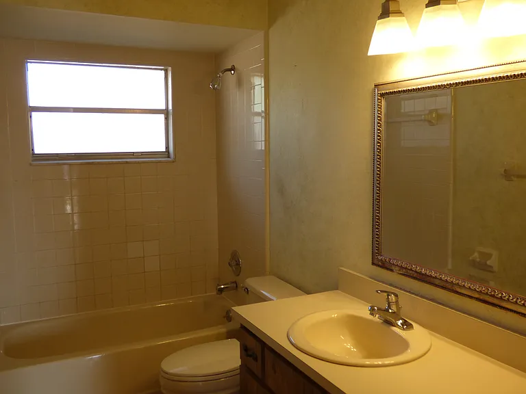 Hall bathroom
