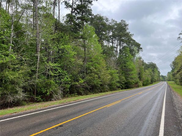 Farm Road 943, Livingston, TX 77351