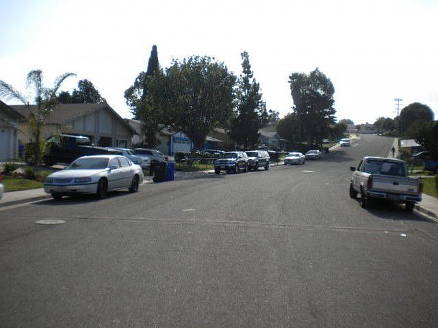 2nd image of 295 Lausanne Dr