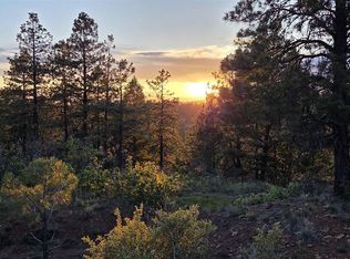 157 Carey's Court, Pagosa Springs, CO 81147