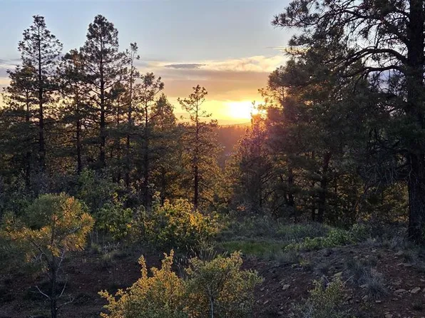 157 Carey's Court, Pagosa Springs, CO 81147