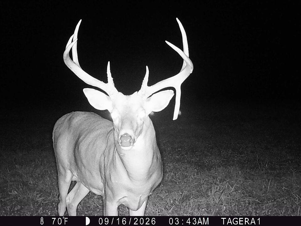 1st image of 443 0th Pike