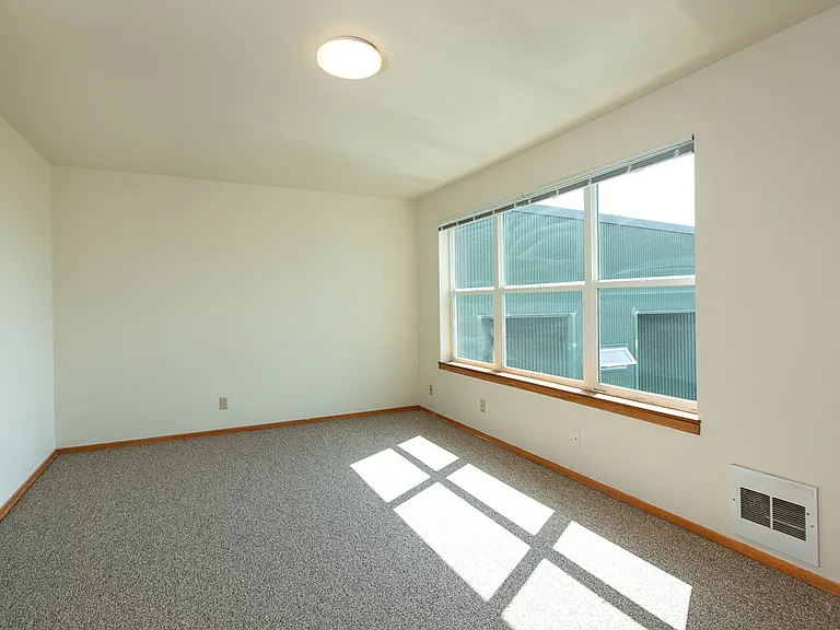 Large Windows for Natural Light with Window Coverings