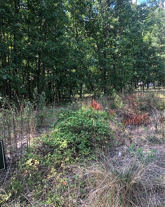 2nd image of 169 Ireland Dr