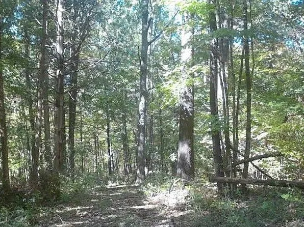 6009 Chenoweth Run Rd, Louisville, KY 40299