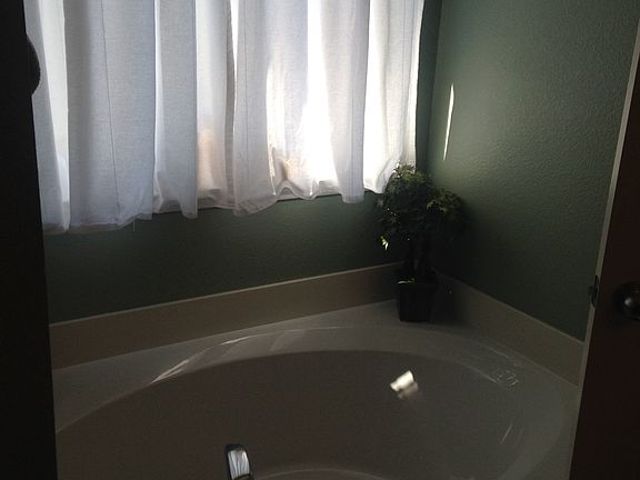 Master Bath Tub