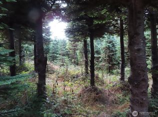 0 Tract State Rte S #2-101, Winlock, WA 98596