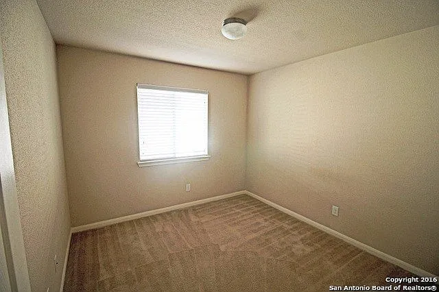 9135 Mare Hunt — Photo 15