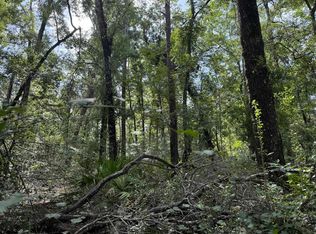 Running Springs Dr, Live Oak, FL 32060