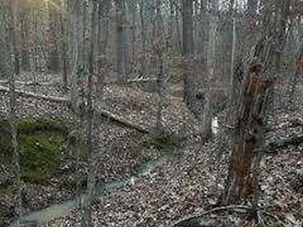 0 River Ridge Trl, Sparta, GA 31087
