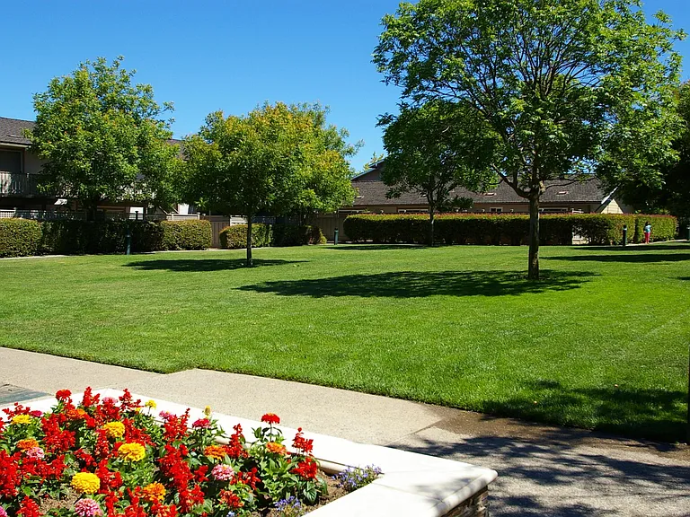 Village Green Apartments — Photo 19